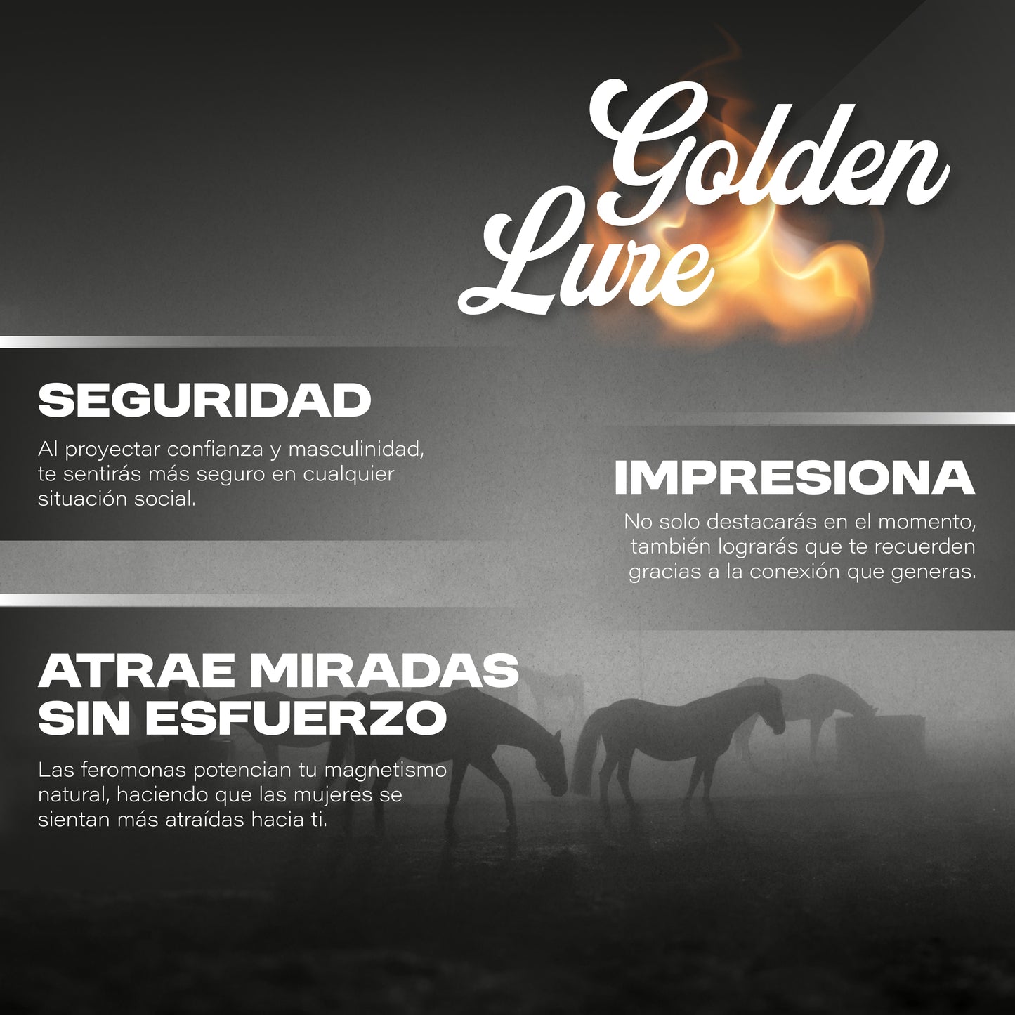 GOLDEN LURE ✨ – Perfume con Feromonas para Hombres 🧴🧲
