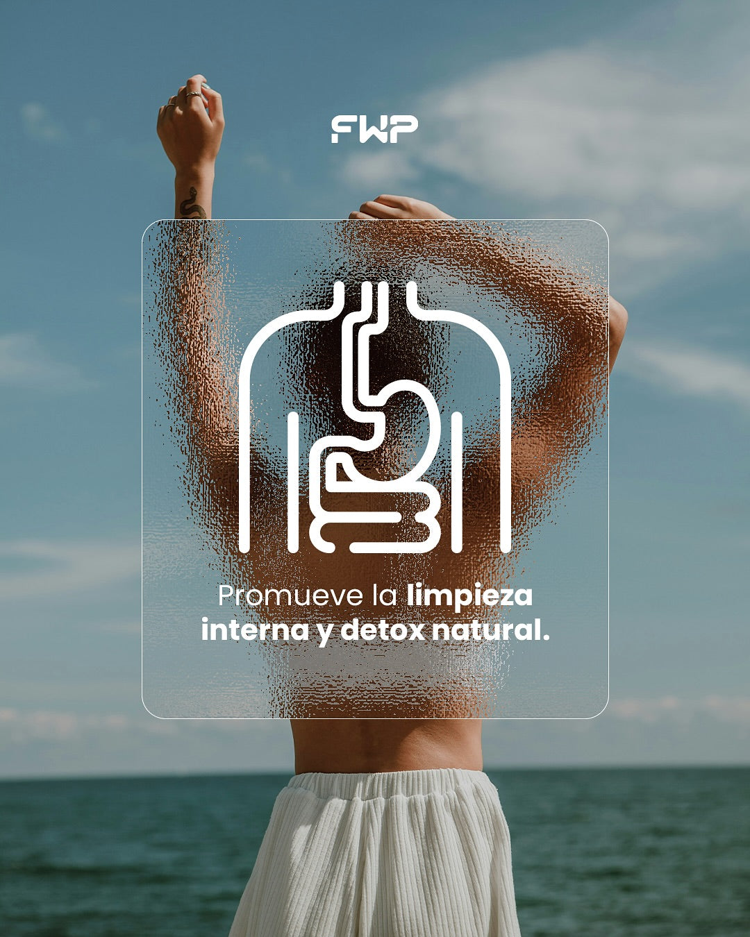 🌿 LIV FWP - Reduce, Depura y Transforma El Impulso Natural Para Tu Peso Ideal.