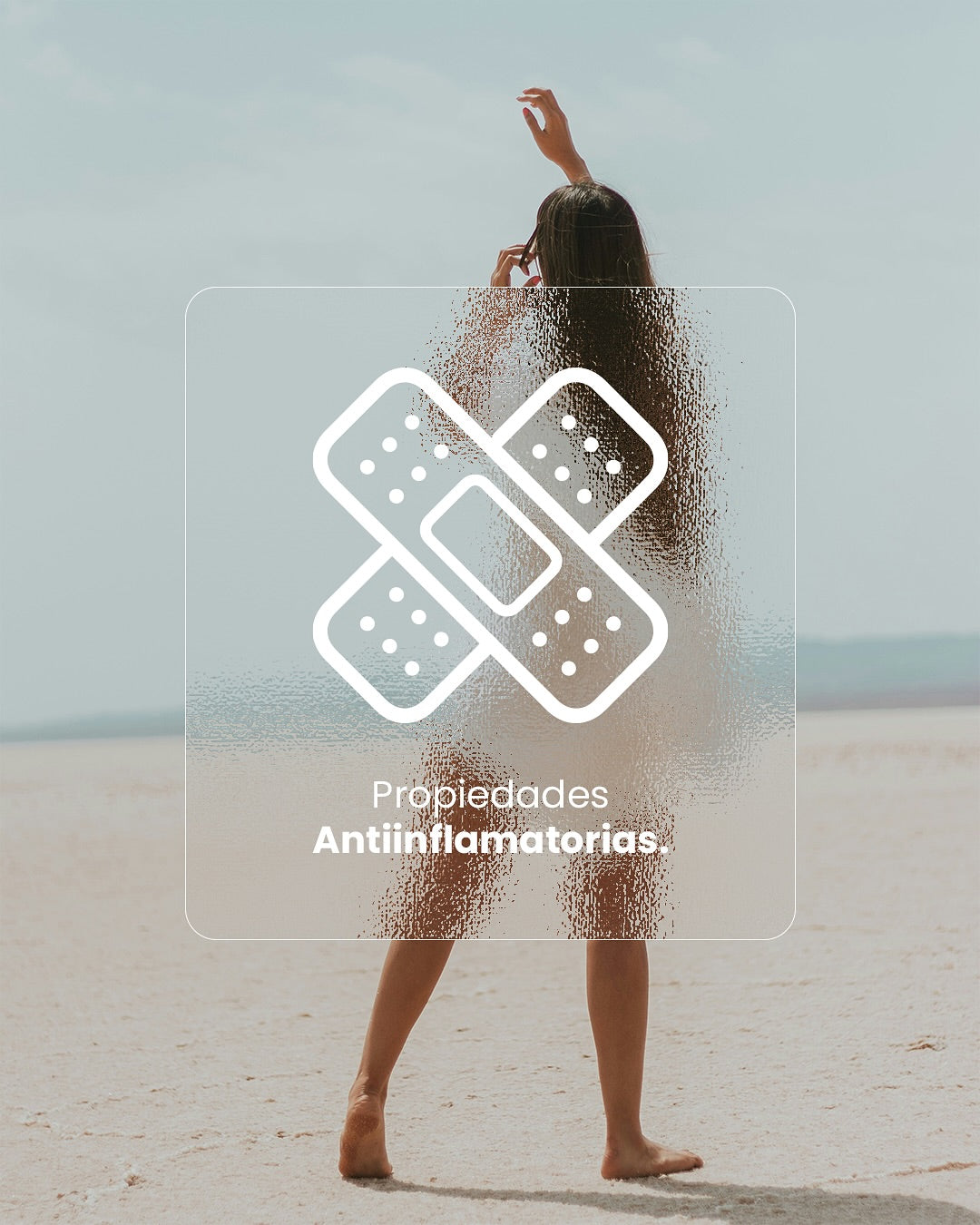 🧠 OMEGA 360 + FWP - Nutrición Inteligencia Para Tu Cerebro y Corazón