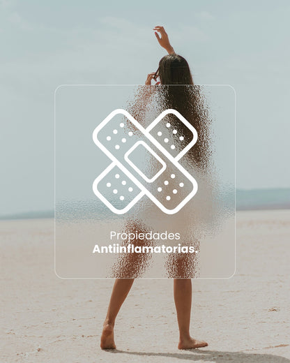 🧠 OMEGA 360 + FWP - Nutrición Inteligencia Para Tu Cerebro y Corazón