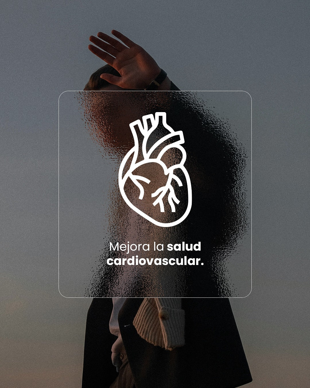 🧠 OMEGA 360 + FWP - Nutrición Inteligencia Para Tu Cerebro y Corazón